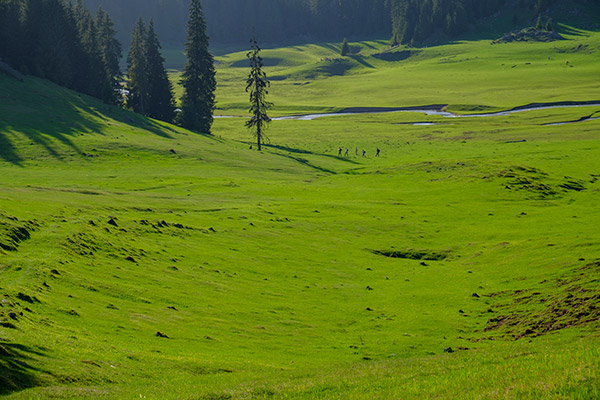 workshop cetatile ponorului