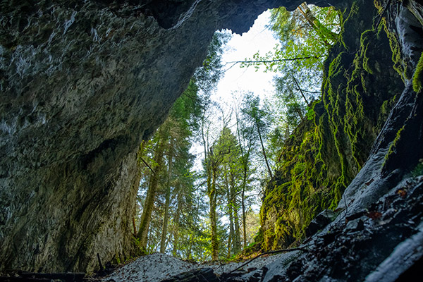 workshop cetatile ponorului