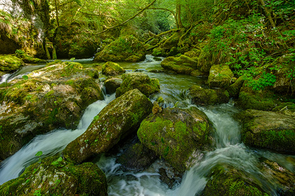 workshop cetatile ponorului