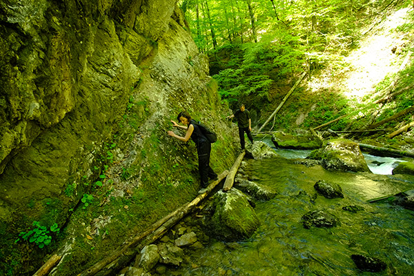 workshop cetatile ponorului