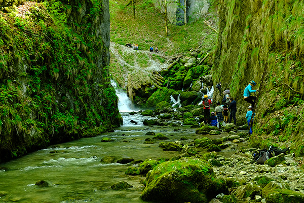 workshop cetatile ponorului